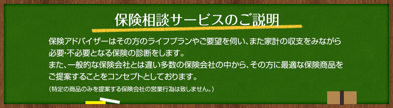 保険相談サービスのご説明 保険アドバイザーはその方のライフプランやご要望を伺い、また家計の収支をみながら必要・不必要となる保険の診断をします。