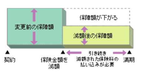 保障額の減額・部分解約