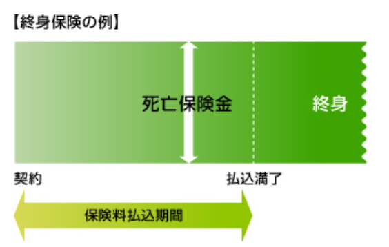 終身保険の例