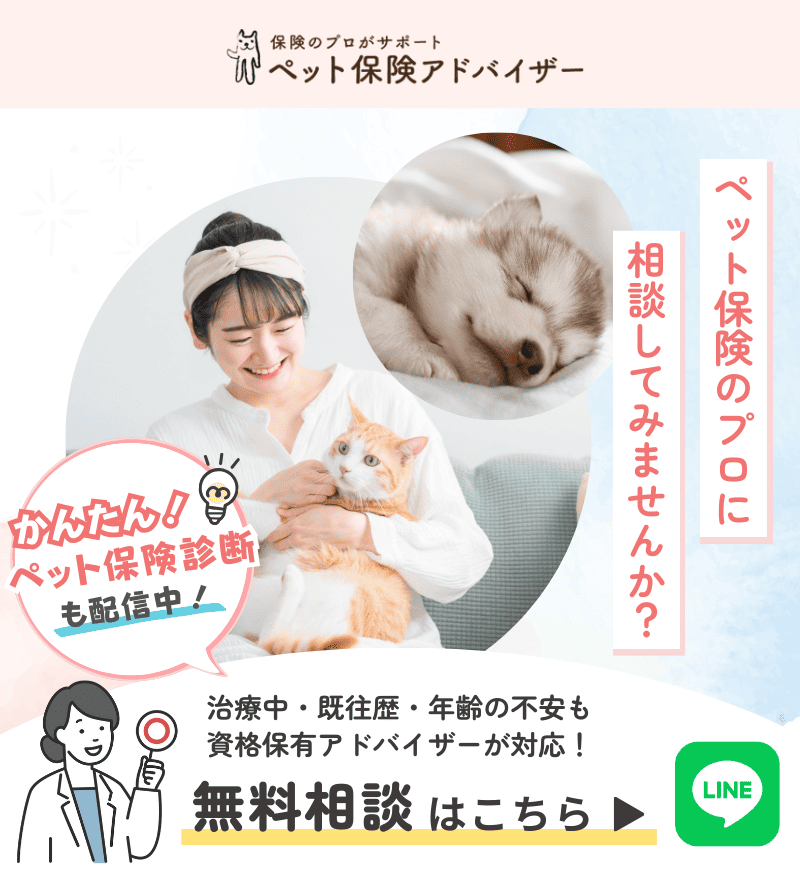 保険のプロが選ぶ　ペット保険アドバイザー