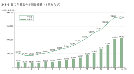 猫の年齢別年間治療費
